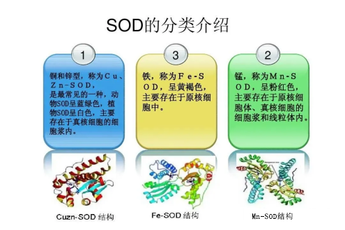 616a1caa264f3a346bb62803d69dfc18.png 616a1caa264f3a346bb62803d69dfc18.png